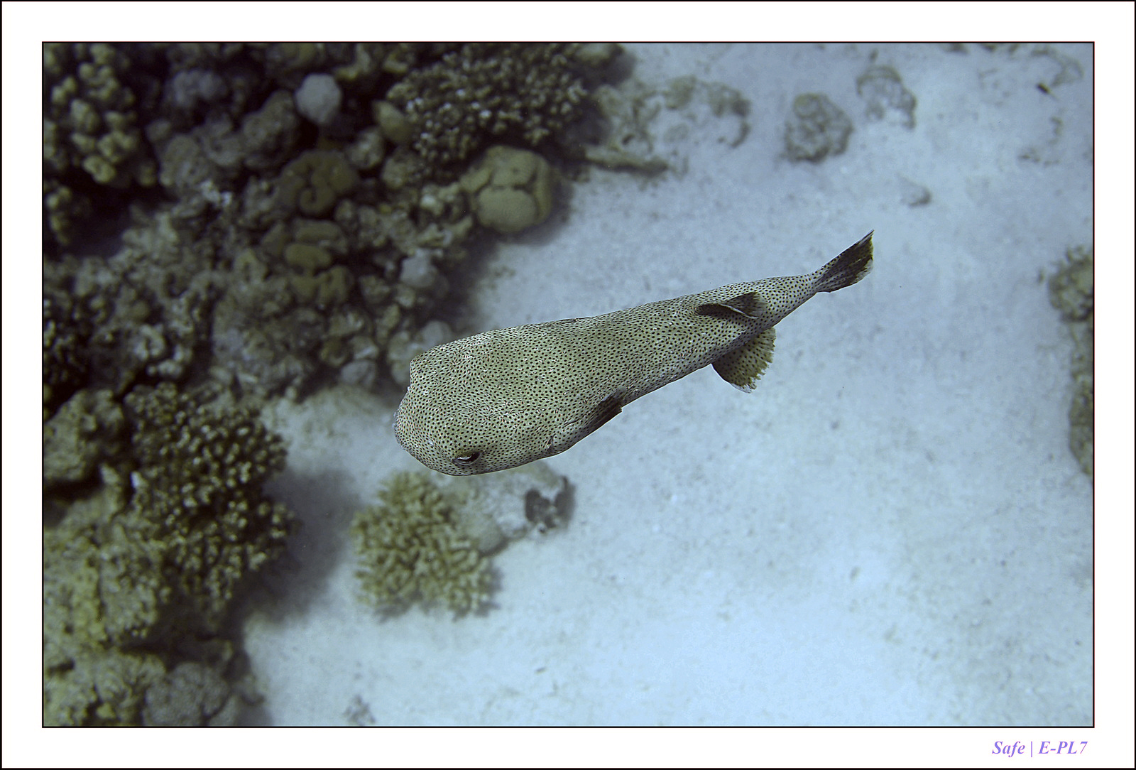 Hurghada - Juillet 2021 - 077